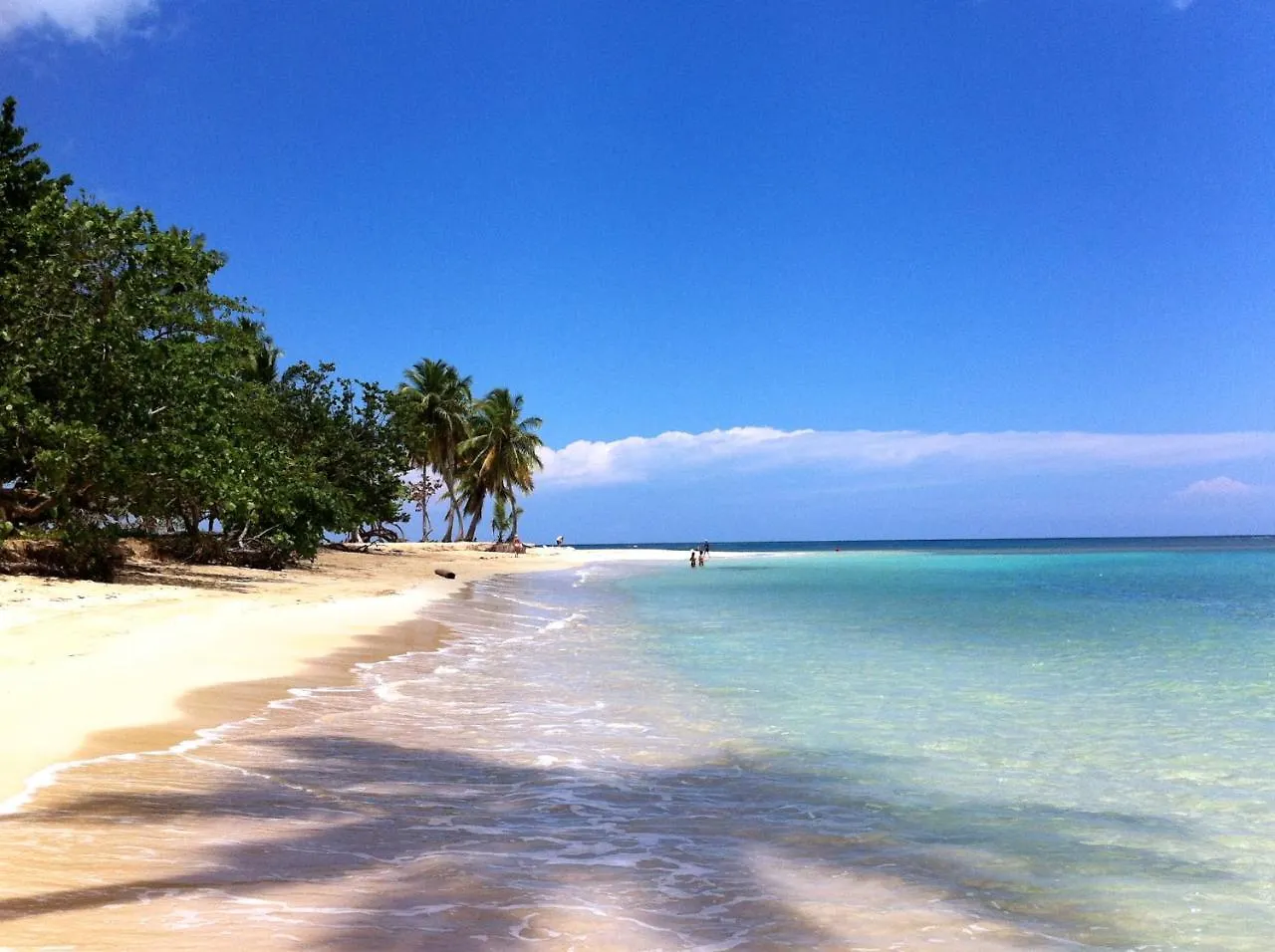 Caribbean Seaview Apart Malecon サントドミンゴ アパート